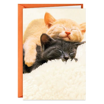 Spending All Nine Lives With You Love Card for only USD 3.99 | Hallmark