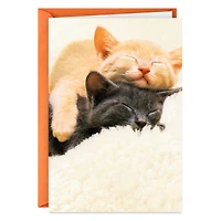 Spending All Nine Lives With You Love Card for only USD 3.99 | Hallmark