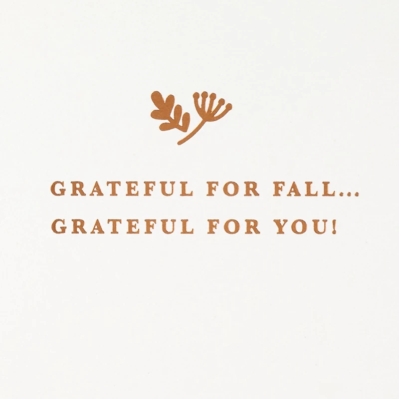 Grateful for You Autumn Card for only USD 7.99 | Hallmark