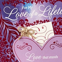 For My Love of a Lifetime Valentine's Day Card for only USD 6.99 | Hallmark