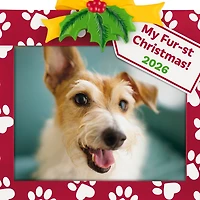 My Fur-st Christmas 2026 Photo Frame Ornament for only USD 19.99 | Hallmark