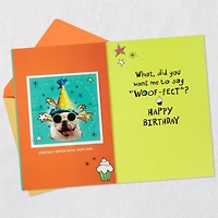 Bulldog in Party Hat Funny 9th Birthday Card With Decal for only USD 3.99 | Hallmark
