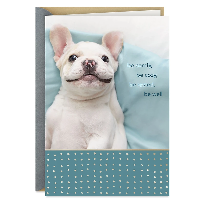 Be Comfy, Be Cozy Get Well Card for only USD 2.99 | Hallmark