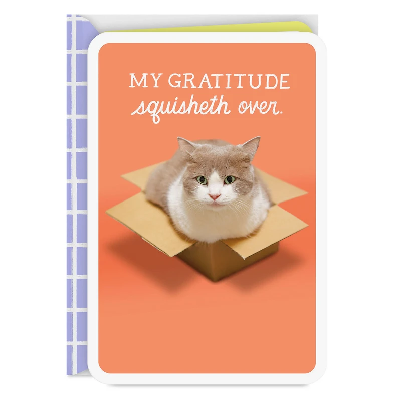 My Gratitude Squisheth Over Thank You Card for only USD 2.99 | Hallmark