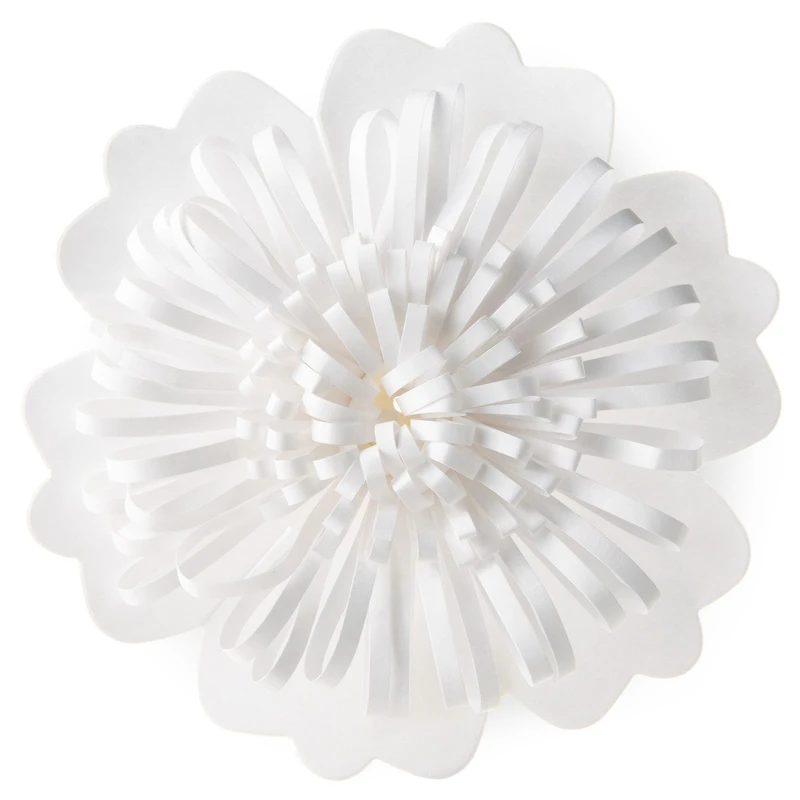 4.6" Ivory Flower Gift Bow for only USD 3.49 | Hallmark