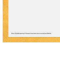 UNICEF Flowers All Kinds of Happy Birthday Card for only USD 3.59 | Hallmark