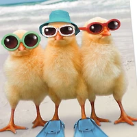 A Few Warm Fuzzies Funny Get Well Card for only USD 3.99 | Hallmark