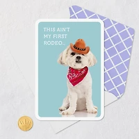 You're One Cool Kid Card for only USD 2.99 | Hallmark