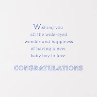 Little Wonder, Big Love New Baby Boy Card for only USD 5.99 | Hallmark