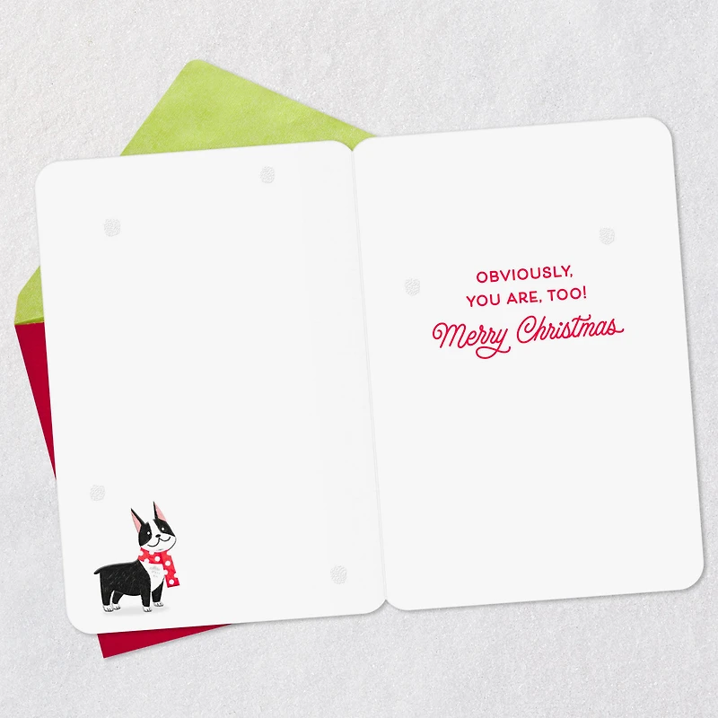 You and Every Dog Made the Nice List Christmas Card for only USD 2.99 | Hallmark