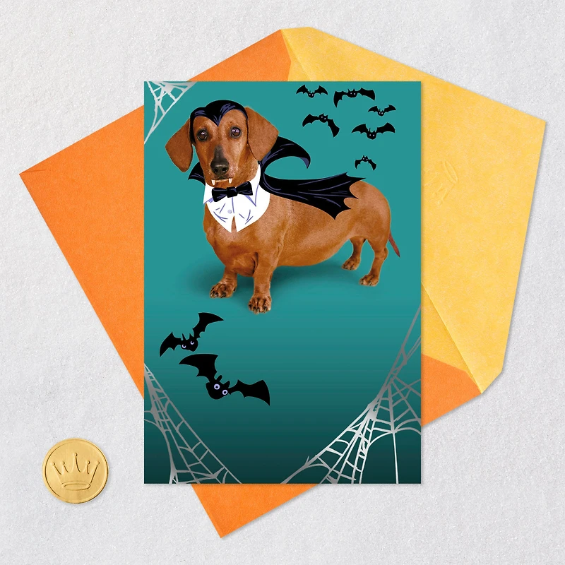 Happy Hallowiener Vampire Dog Funny Halloween Card for only USD 2.99 | Hallmark