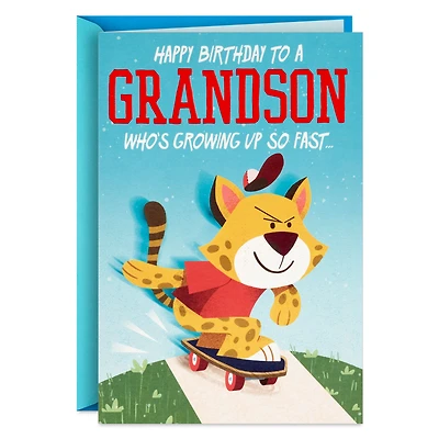 Skateboarding Cheetah Pop-Up Birthday Card for Grandson for only USD 5.99 | Hallmark