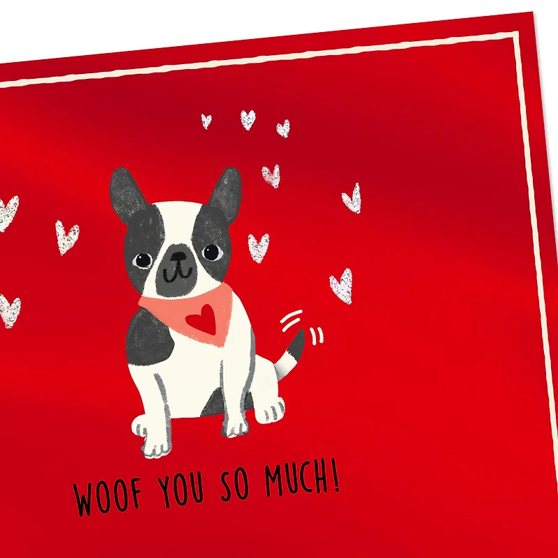 Woof You So Much Valentine's Day Card From the Dog for only USD 2.50 | Hallmark