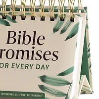 Bible Promises for Every Day 365-Day Perpetual Calendar for only USD 10.99 | Hallmark