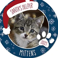 Holiday Pet Round Metal Personalized Ornament, Custom Photo and Text for only USD 17.99 | Hallmark
