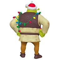 Shrek And To All a Gross Night Ornament for only USD 23.99 | Hallmark