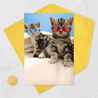 Awesome Cats in Reflective Sunglasses Funny Friendship Card for only USD 3.99 | Hallmark