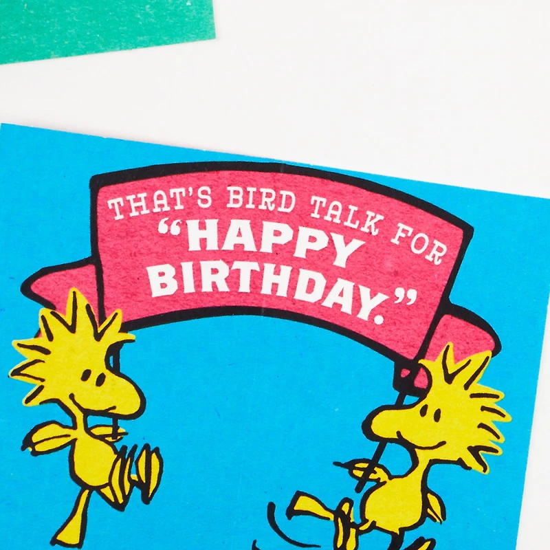 Peanuts® Charlie Brown Wonderful You Funny Birthday Card With Mini Cards for only USD 6.59 | Hallmark