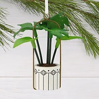 Hanging Houseplant Hallmark Ornament for only USD 14.99 | Hallmark