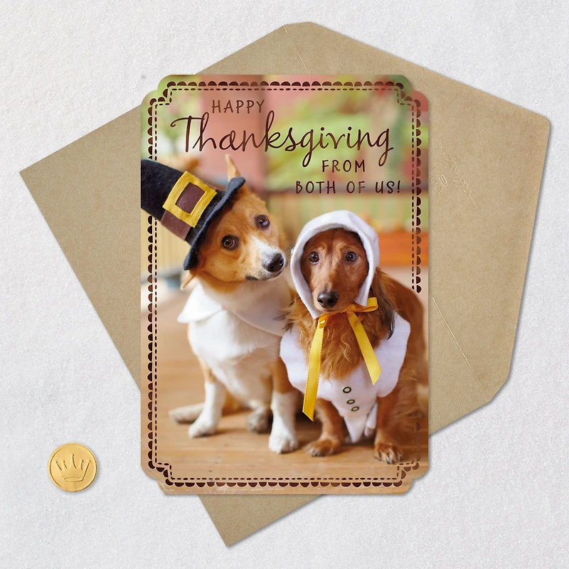 Dogs in Pilgrim Outfits Thanksgiving Card From Both for only USD 2.00 | Hallmark