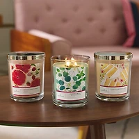 Vanilla Sugar Cake 3-Wick Jar Candle, 16 oz. for only USD 29.99 | Hallmark