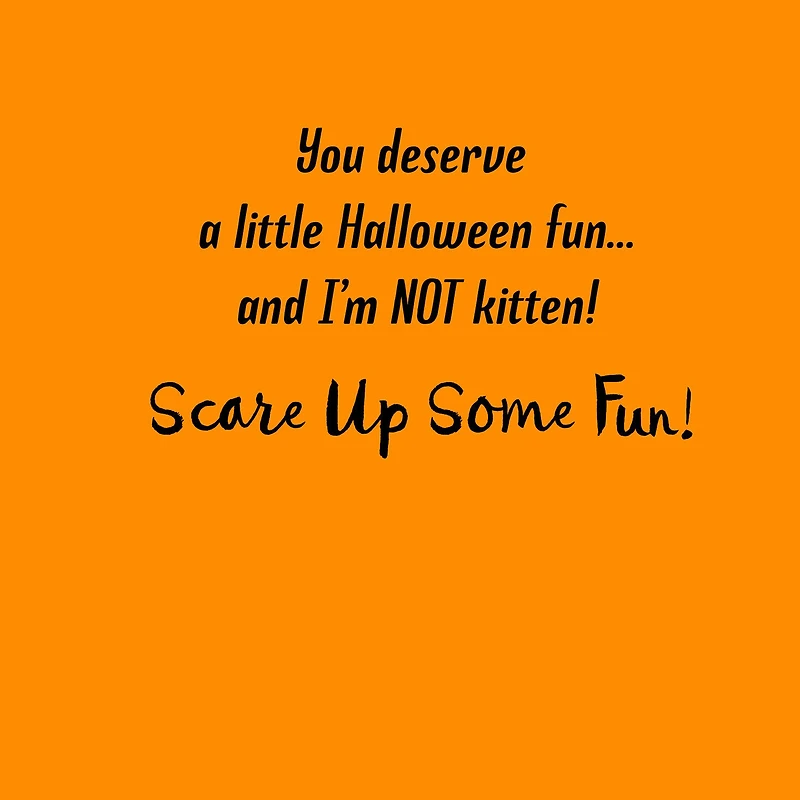 Scare Up Some Fun Black Cat Bat Halloween Card for only USD 0.99 | Hallmark