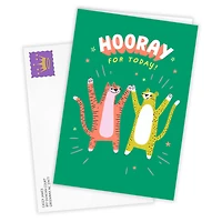 Hooray for Today Silly Cats Custom Congratulations Card for only USD 4.99 | Hallmark