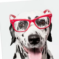 Spotted This Card Funny Thinking of You Card for only USD 3.99 | Hallmark