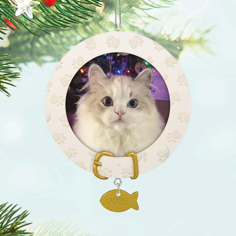 Furry Friend 2025 Photo Frame Ornament for only USD 19.99 | Hallmark