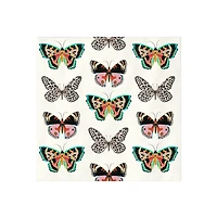 Butterflies on White Cocktail Napkins, Set of 16 for only USD 4.49 | Hallmark