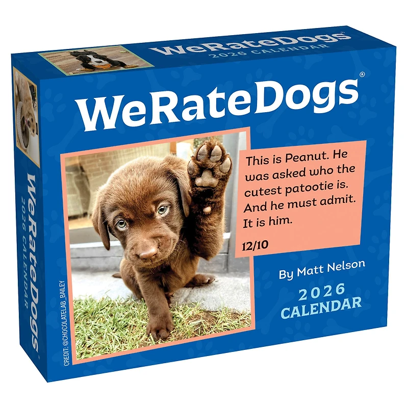We Rate Dogs 2026 Daily Desktop Calendar for only USD 17.99 | Hallmark