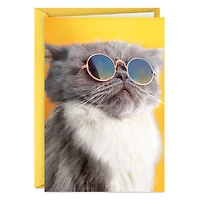 Light the Candles Funny Birthday Card for only USD 3.99 | Hallmark