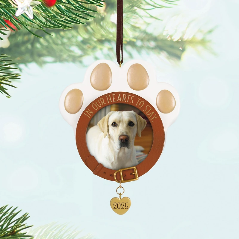 In Our Hearts to Stay 2025 Photo Frame Ornament for only USD 24.99 | Hallmark