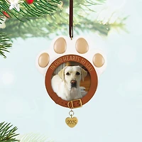In Our Hearts to Stay 2025 Photo Frame Ornament for only USD 24.99 | Hallmark