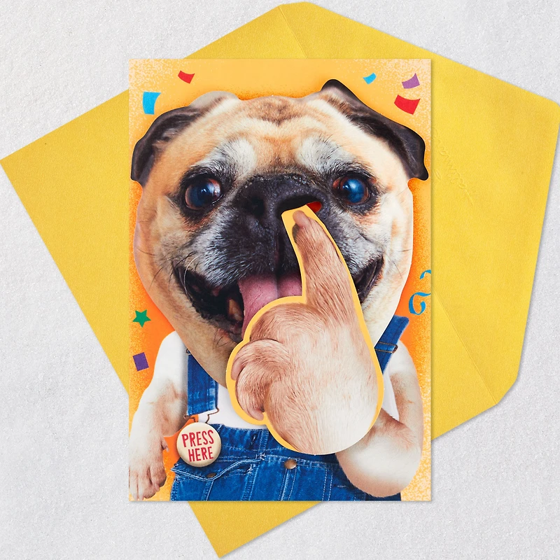 Pickin' and Grinnin' Funny Musical Birthday Card With Motion for only USD 9.59 | Hallmark