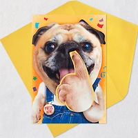 Pickin' and Grinnin' Funny Musical Birthday Card With Motion for only USD 9.59 | Hallmark