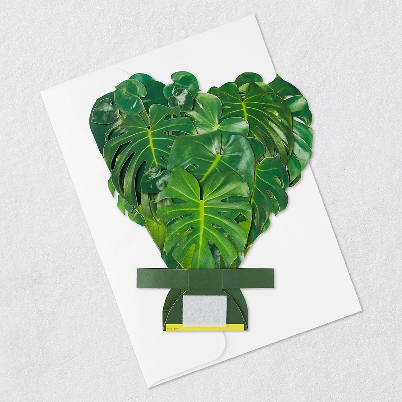 Build-a-Bouquet Monstera Pop-Up Paper Plant for only USD 9.99 | Hallmark