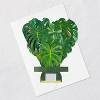 Build-a-Bouquet Monstera Pop-Up Paper Plant for only USD 9.99 | Hallmark