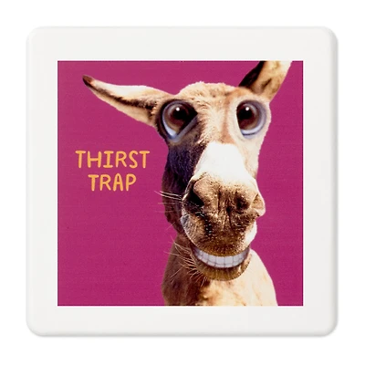 Smiling Donkey Photo Funny Coaster for only USD 6.99 | Hallmark