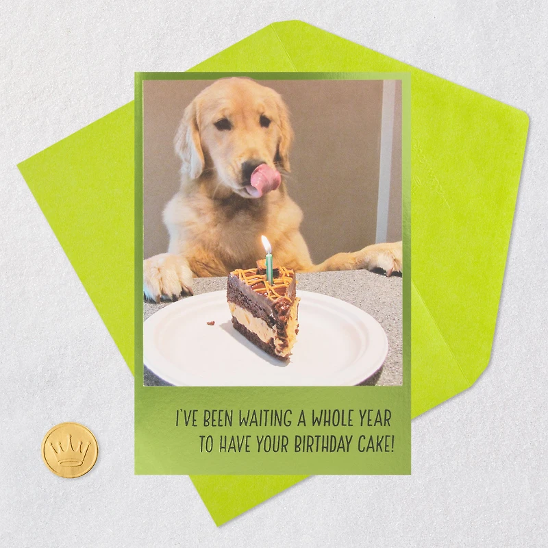 Dog Years Waiting for Cake Funny Birthday Card for only USD 4.49 | Hallmark