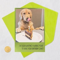 Dog Years Waiting for Cake Funny Birthday Card for only USD 4.49 | Hallmark