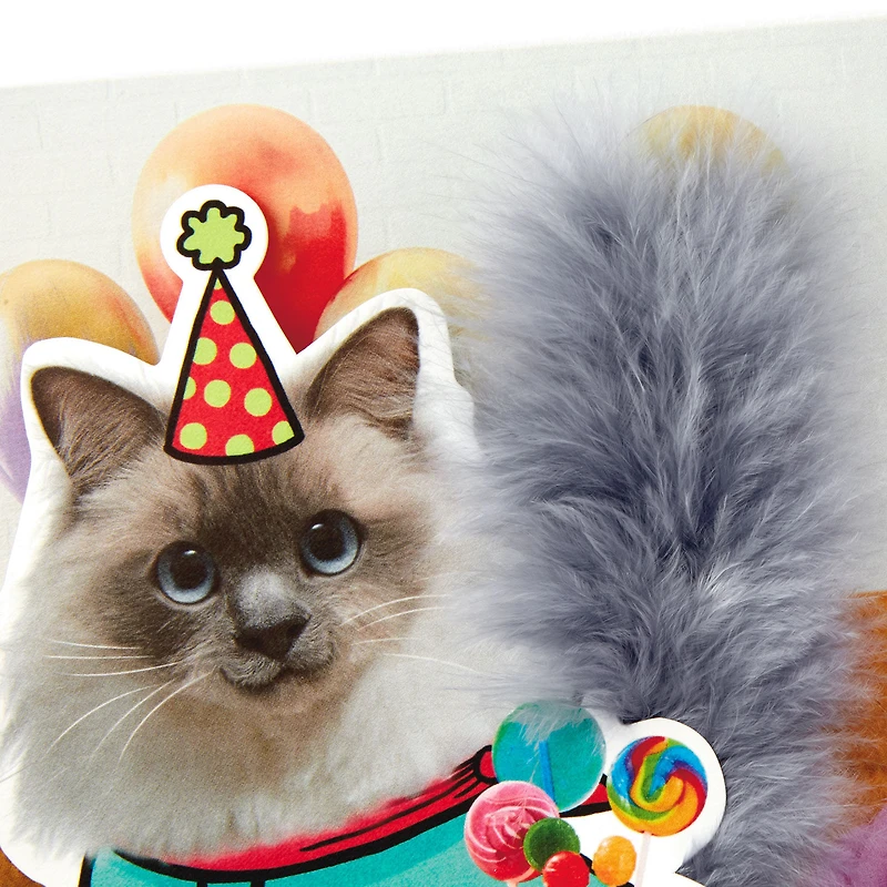 Party Cat Funny Musical Birthday Card With Motion for only USD 9.59 | Hallmark