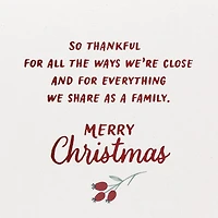 Thankful for All We Share Christmas Card for Family for only USD 4.59 | Hallmark