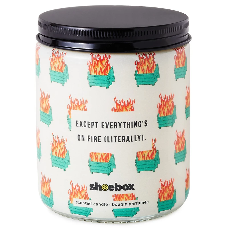 Dumpster Fire Everything's Fine Scented Single-Wick Jar Candle, 7 oz. for only USD 14.99 | Hallmark