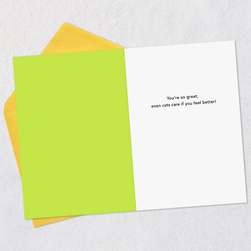 Even Cats Care Funny Get Well Card for only USD 3.99 | Hallmark
