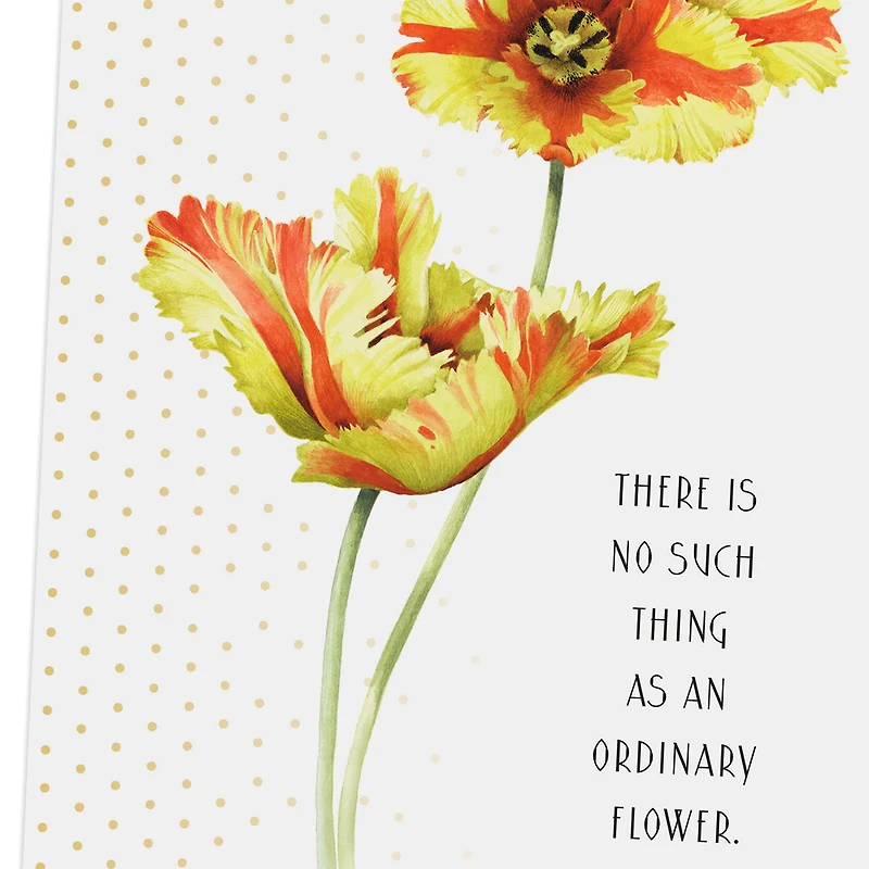 Marjolein Bastin No Ordinary Flower Birthday Card for only USD 2.99 | Hallmark