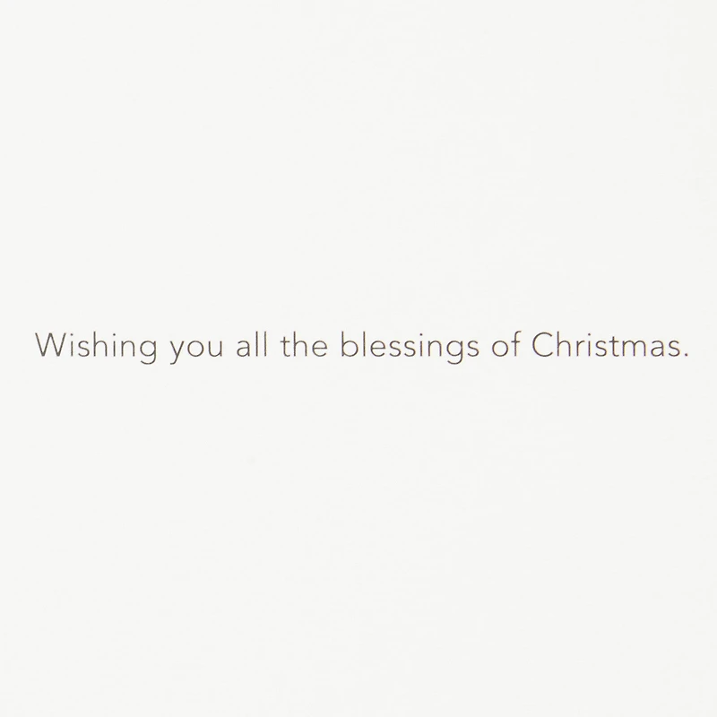 Nativity on Blue Boxed Christmas Cards, Pack of 10 for only USD 24.99 | Hallmark