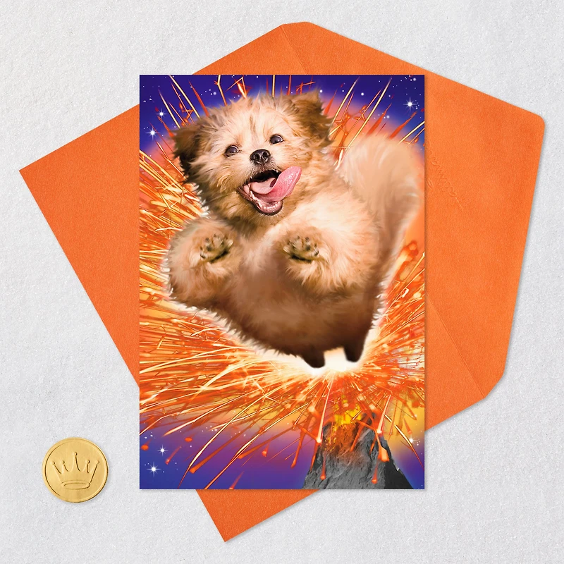 You're an Explosion of Awesome Funny Card for only USD 4.49 | Hallmark