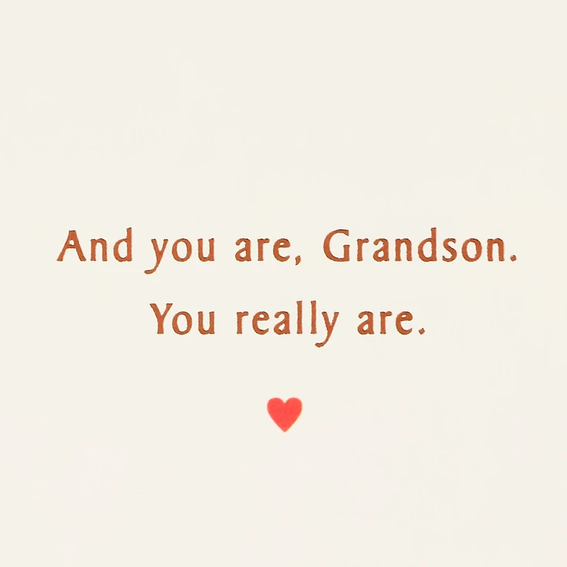 Loved and Admired Valentine's Day Card for Grandson for only USD 3.59 | Hallmark