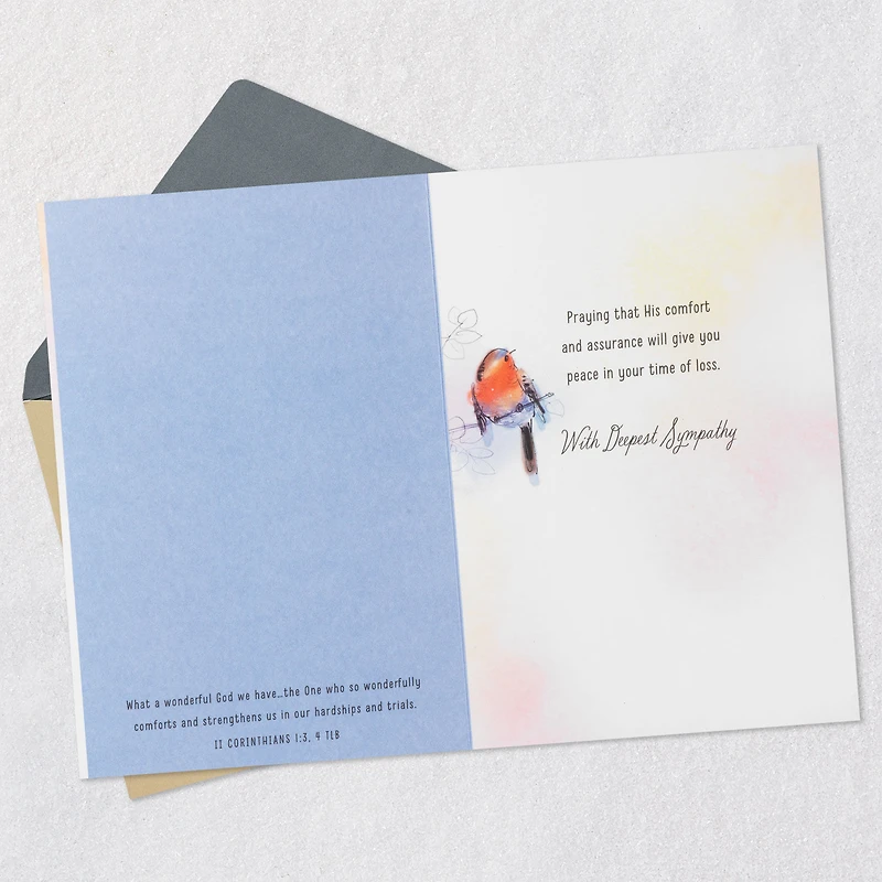 The Tender Grace of Christ Religious Sympathy Card for only USD 4.99 | Hallmark